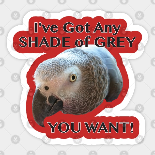 Any Shade of Grey - African Grey Parrot Sticker by Einstein Parrot